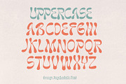 Naskle - Groovy Psychedelic Font, a Font by creativemedialab (Thumbnail 5 of 9)