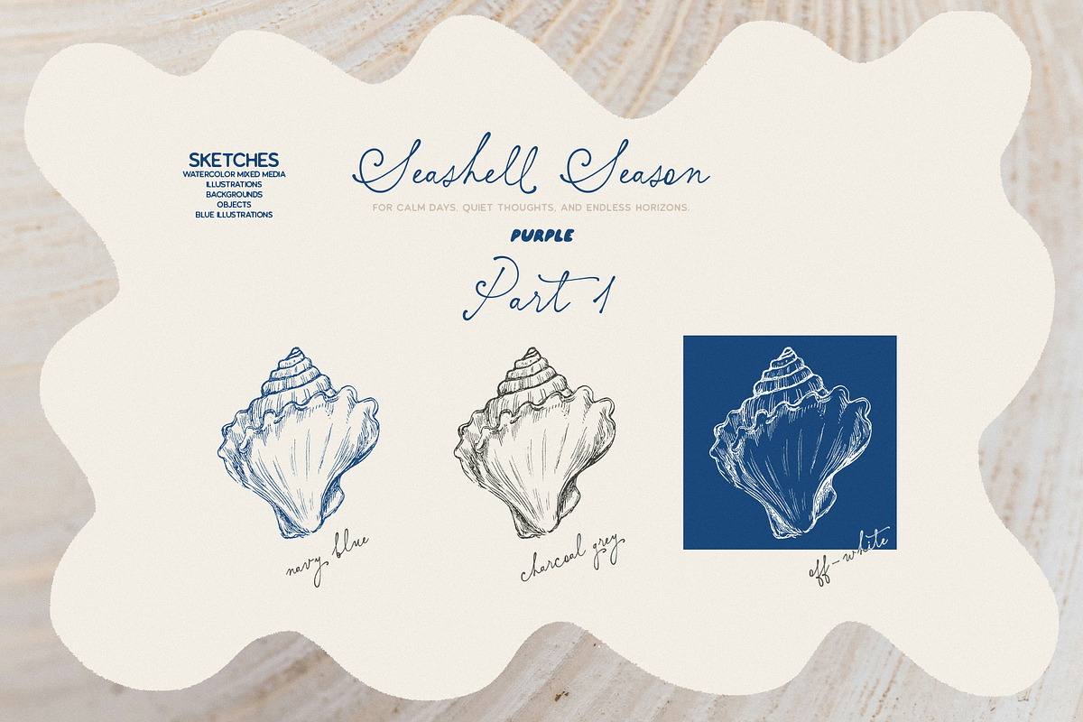 Seashell Season – Coastal Pack, an Object Graphic by Purple (Photo 3 of 12)