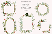 Winter Christmas Greenery Collection, a Decorative Illustration by Grace Noboa Illustrations (Thumbnail 5 of 8)