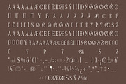 Seraneo Modern Display Typeface, a Serif Font by Letterena Studios (Thumbnail 14 of 15)