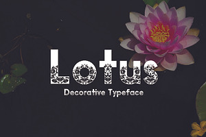 Lotus