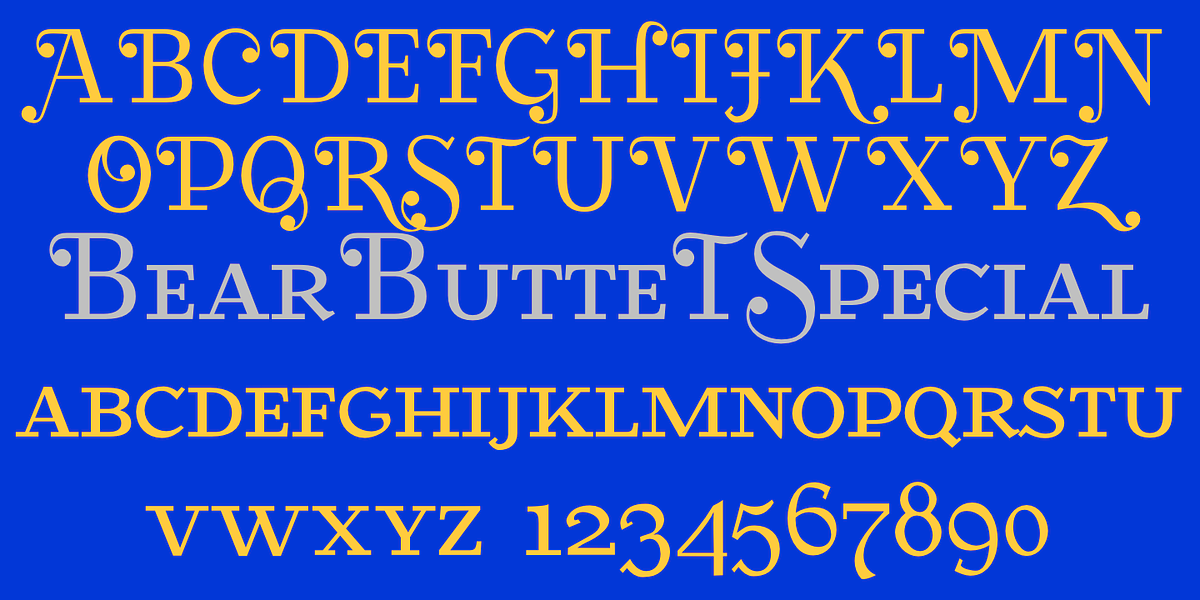 BearButteT, a Slab Serif Font by Ingrimayne Type (Photo 7 of 8)