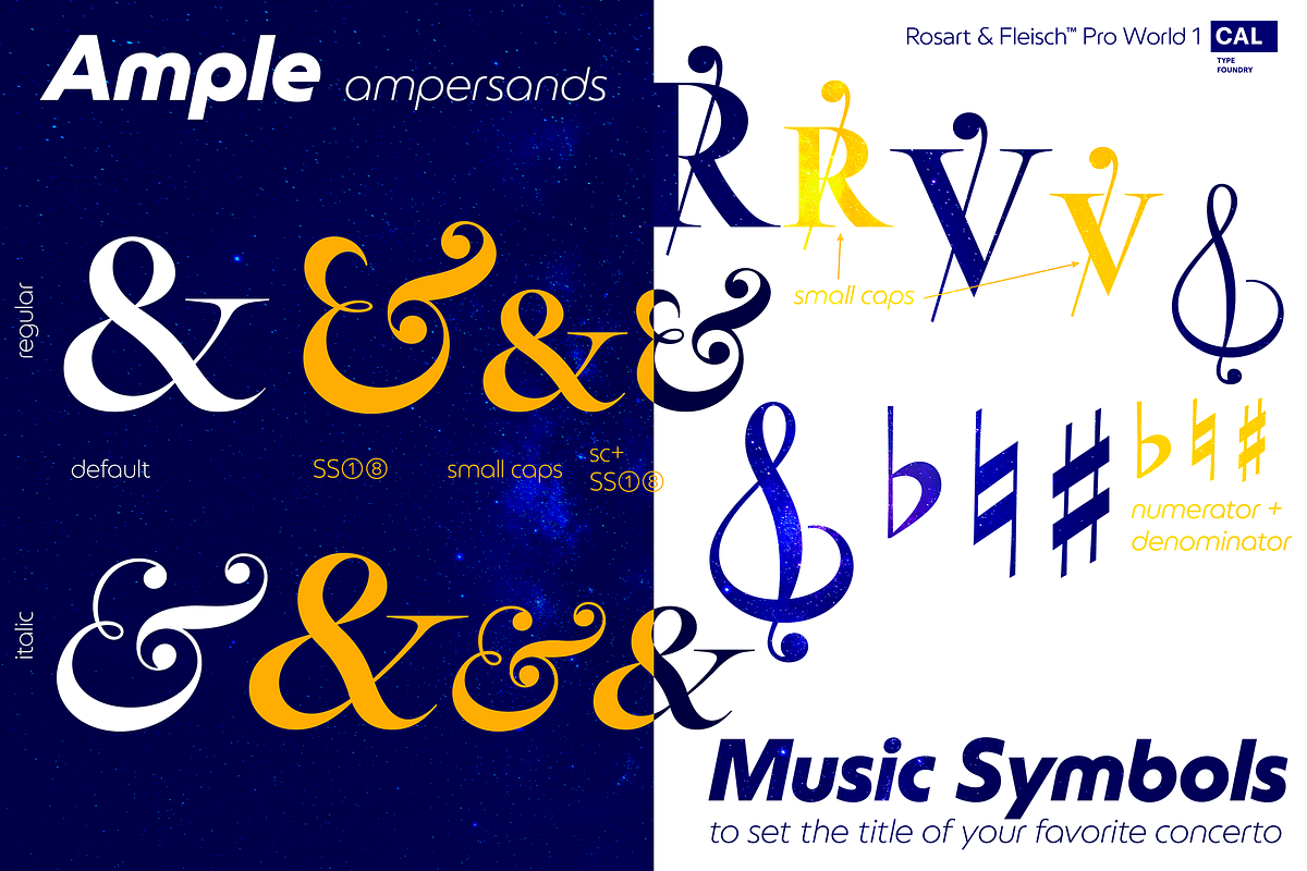 Rosart & Fleisch PRO+Wld1 2FontPack, a Serif Font by California Type Foundry (Photo 8 of 8)