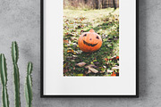 Rustic Pumpkin Garden, a Holiday Photo by pictures for you (Thumbnail 2 of 11)