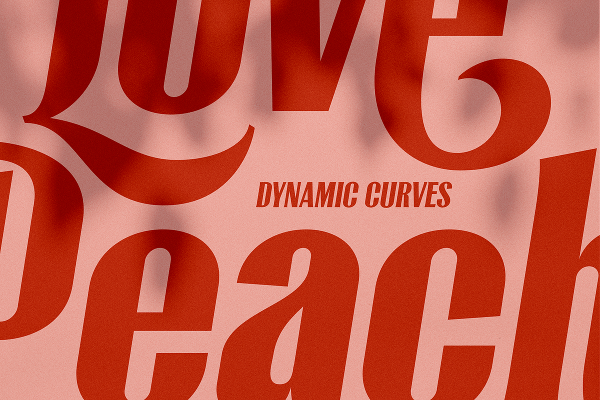 Lioney Oblique, a Font by A.Budianto (Photo 8 of 8)