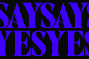 West West Condensed Serif, a Serif Font by Fenotype (Thumbnail 12 of 18)