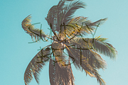 Belarak Coconut Font, a Script Font by Erifqizefont (Thumbnail 4 of 5)