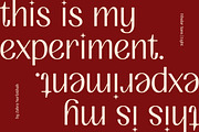 FIBULAR SANS - Variable Display Type, a Sans Serif Font by Artflorara (Thumbnail 15 of 23)