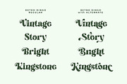 Retro Dingo - Modern Vintage Serif, a Serif Font by Airotype (Thumbnail 2 of 12)