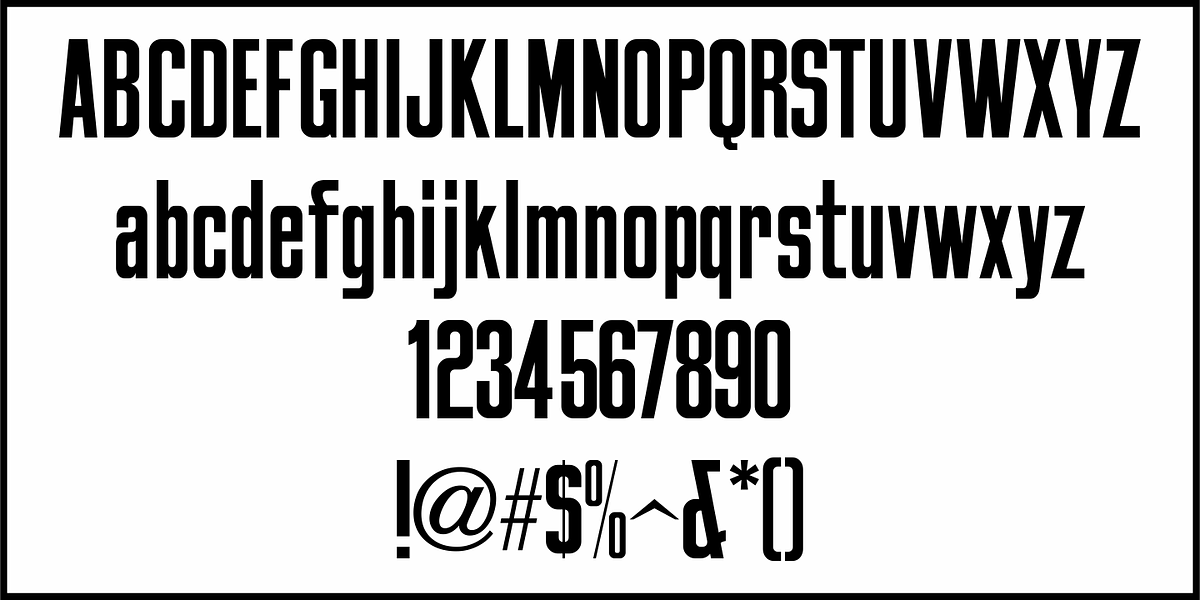 Brochure Sans JNL, a Sans Serif Font by Jeff Levine Fonts (Photo 3 of 5)