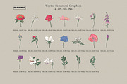 Garden Botanical Illustrations, a Decorative Illustration by likorbut (Thumbnail 3 of 6)