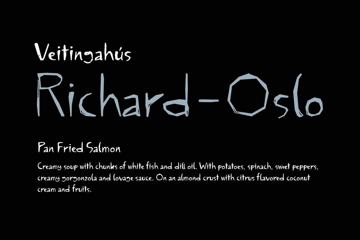 Torjus Font Family, a Sans Serif Font by Ryul Davidson (Photo 10 of 17)