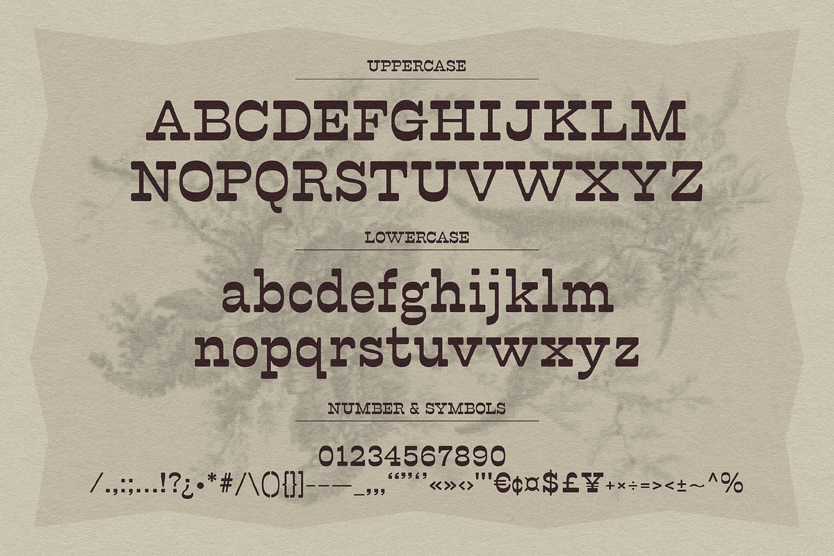 Revslonia, a Serif Font by graphicook (Photo 3 of 10)