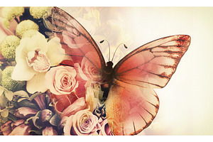 Butterfly With Flowers