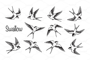 Swallows in various graceful flying, an Animal Illustration by yod67