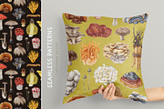 Mushrooms Watercolor Clipart, a Food Illustration by AnitaPol (Thumbnail 21 of 24)