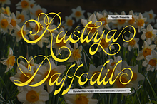 Rastiya Daffodil Handwritten Script