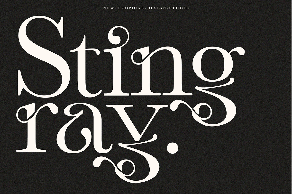 The Modern Font Bundle Vol.5 80% OFF, a Sans Serif Font by Tropical Type (Photo 24 of 43)