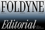 FTC Foldyne, a Serif Font by Fridaytype (Thumbnail 1 of 12)