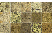 Vintage Star Maps Pattern Bundle, a Pattern Graphic by jannatulpakhi (Thumbnail 2 of 3)