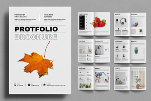 Business Brochure Protfolio Design, a Brochure Template by ContestDesign