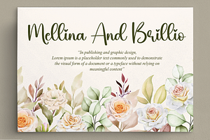 Bride Script Font