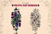 Fruits and Berries | Hand Drawn Boho, a Food Illustration by Ink Stories (Thumbnail 5 of 13)