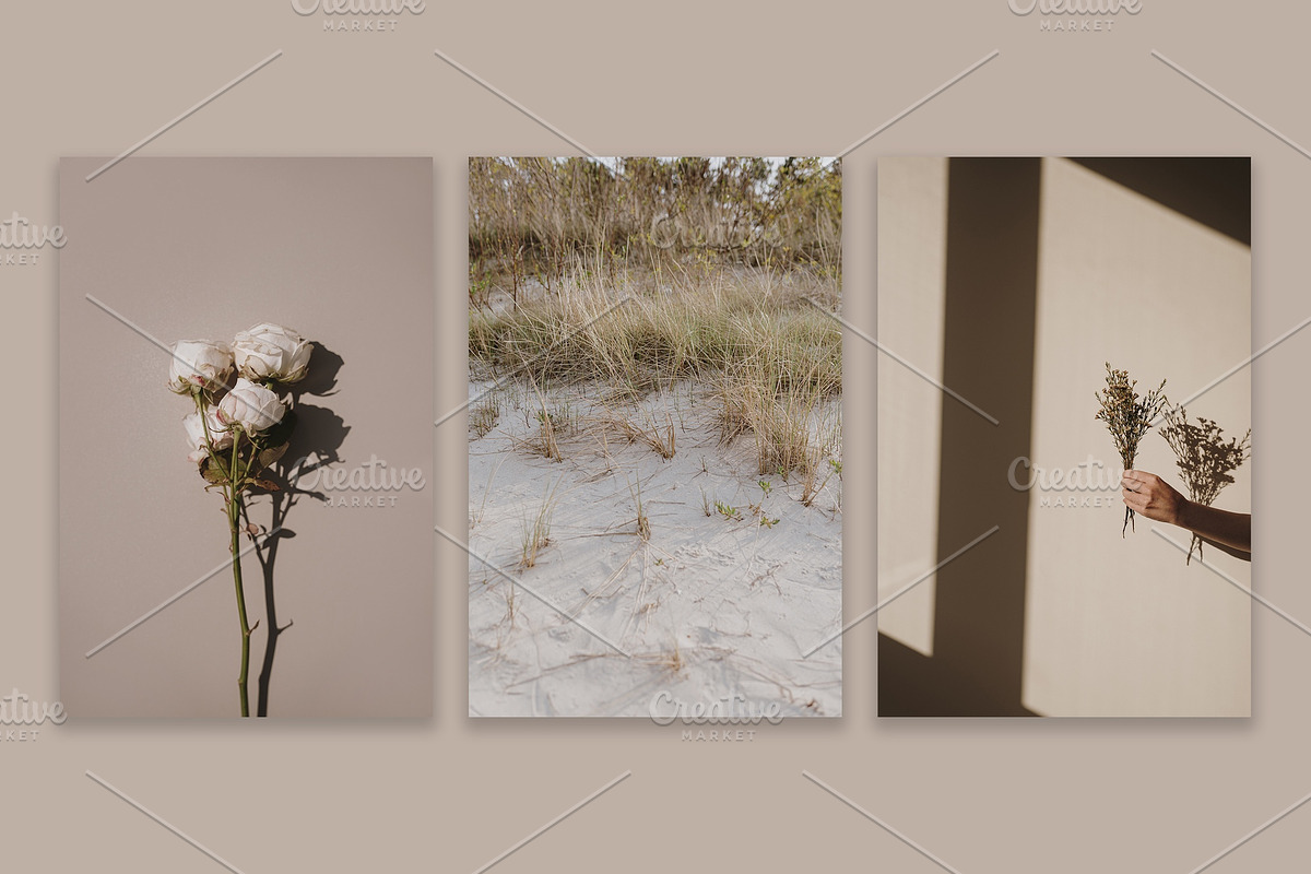 Lifestyle Essentials 10, a Wallpaper Photo by Floral Deco (Photo 6 of 7)
