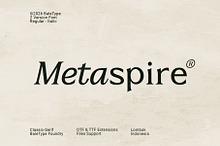 Metaspire - Modern Display Serif