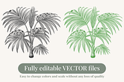 Palm Tree Vector Illustration Bundle, an Illustration by Kusumaillustration (Thumbnail 12 of 15)