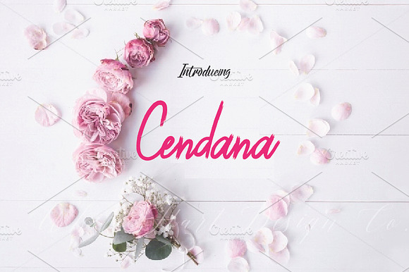 Cendana Brush preview 8
