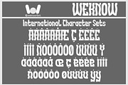 Tuning Fork font, a Font by weknow (Thumbnail 8 of 8)