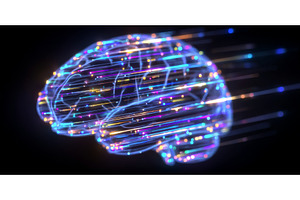 A brilliant, 3D-rendered brain, a Technology Photo by ZinetroN