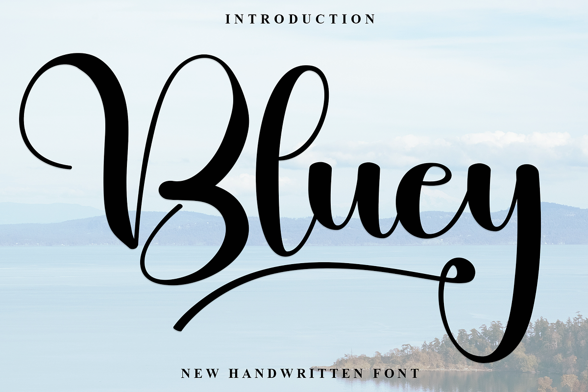 Bluey, a Script Font by FreshTypeINK (Photo 1 of 7)