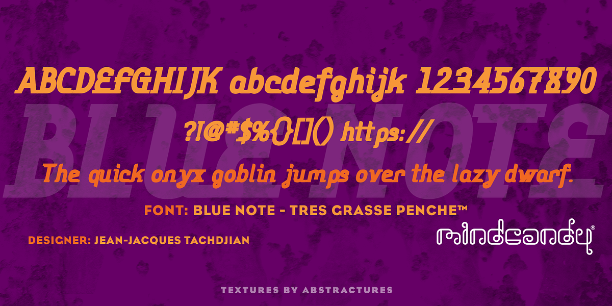 Blue Note™, a Serif Font by MINDCANDY (Photo 8 of 8)