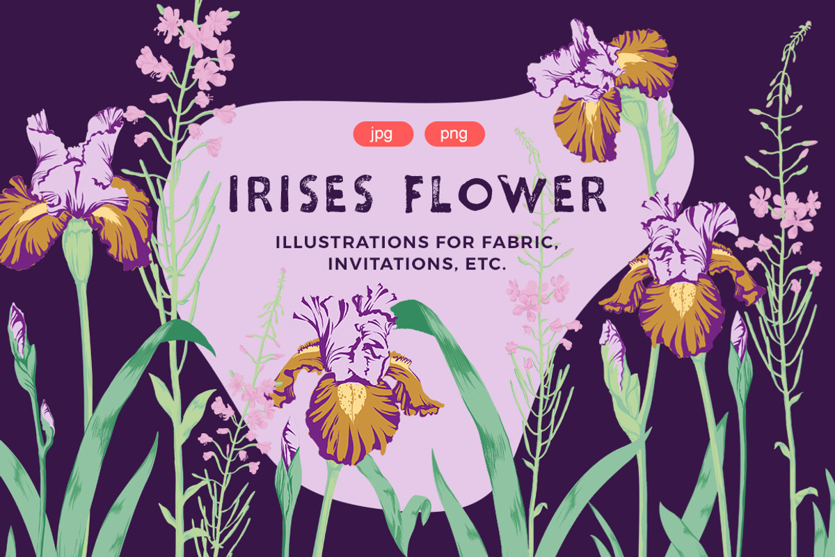 Irises Flower Set, an Object Illustration by Volga_Store (Photo 1 of 6)