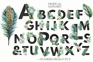 Tropical Floral And Peacocks