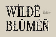 CS Alistair Stamp, a Serif Font by Craft Supply Co. (Thumbnail 7 of 8)