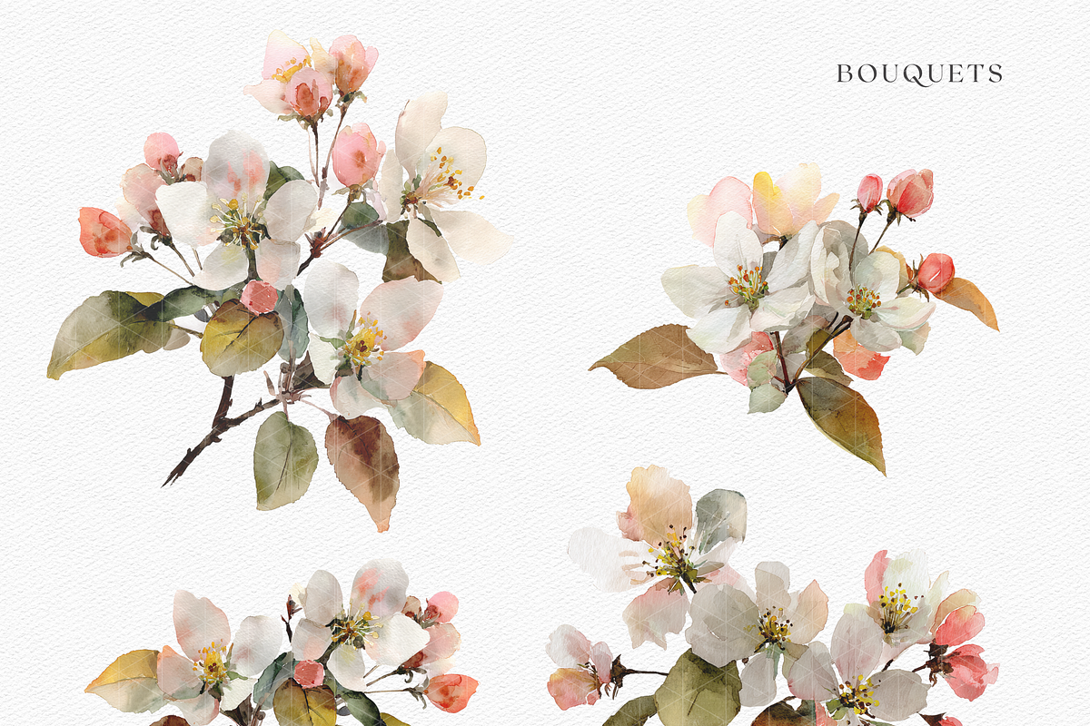 Watercolor Apple Blossom Bouquet, a Decorative Illustration by ThaismotaCreativeCo (Photo 3 of 11)