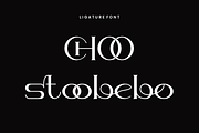 Hechowa - Elegant Fashion Font, a Serif Font by QR Design Studio (Thumbnail 7 of 12)