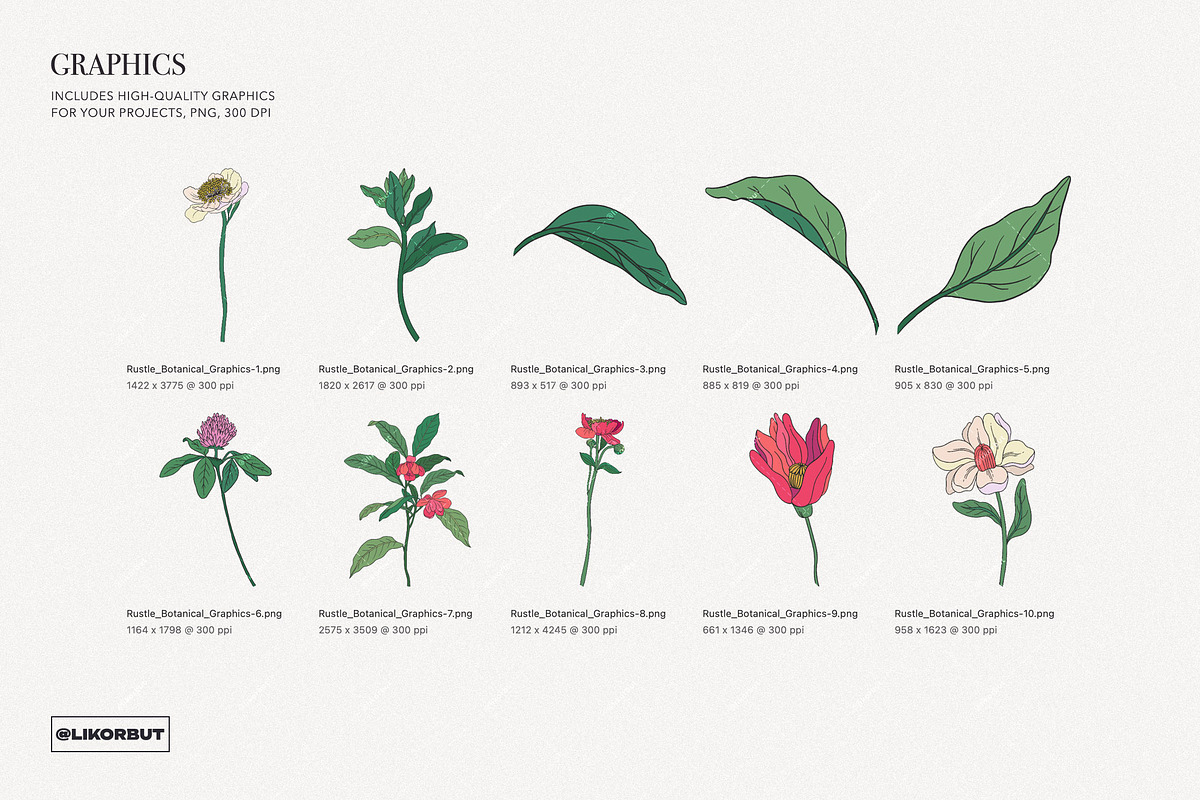 Rustle Botanical Pattern and Motifs, a Pattern Graphic by likorbut (Photo 7 of 12)