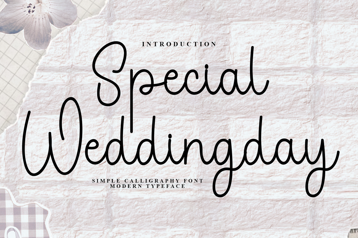 Special Weddingday, a Handwritten Font by InermediaSTUDIO (Photo 1 of 8)