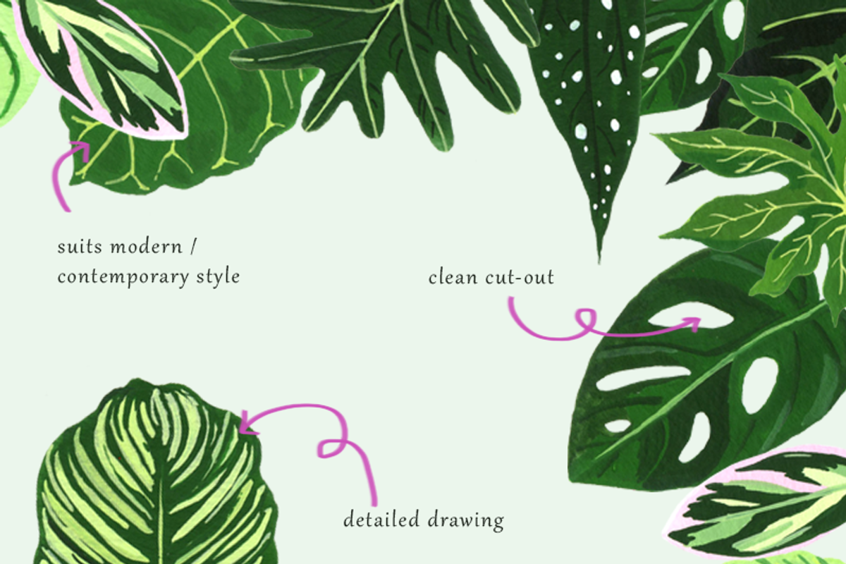 Tropical Leaves Drawing Set, a Decorative Illustration by elpple (Photo 3 of 6)