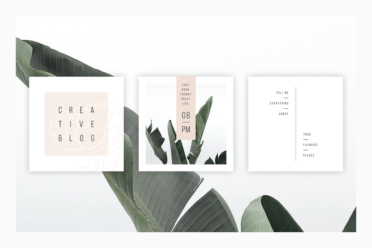 ANIMATED Instagram Posts – Peony, a Social Media Template by AgataCreate (Photo 9 of 13)