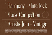 Silkigfined Elegant Luxury Serif, a Serif Font by timelesstype.co (Thumbnail 6 of 15)