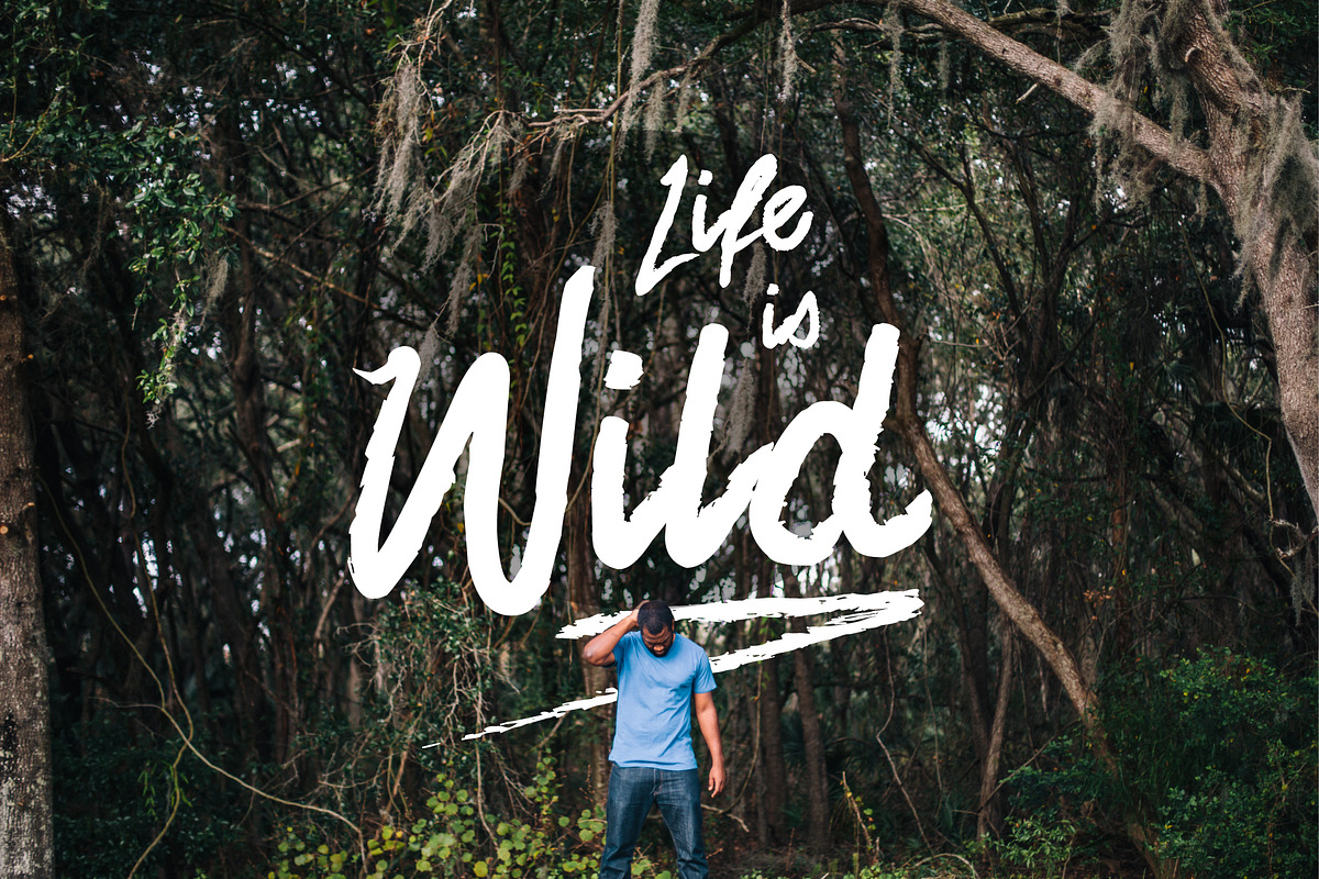Premium Font Bundle, a Script Font by Flycatcher Design (Photo 104 of 140)