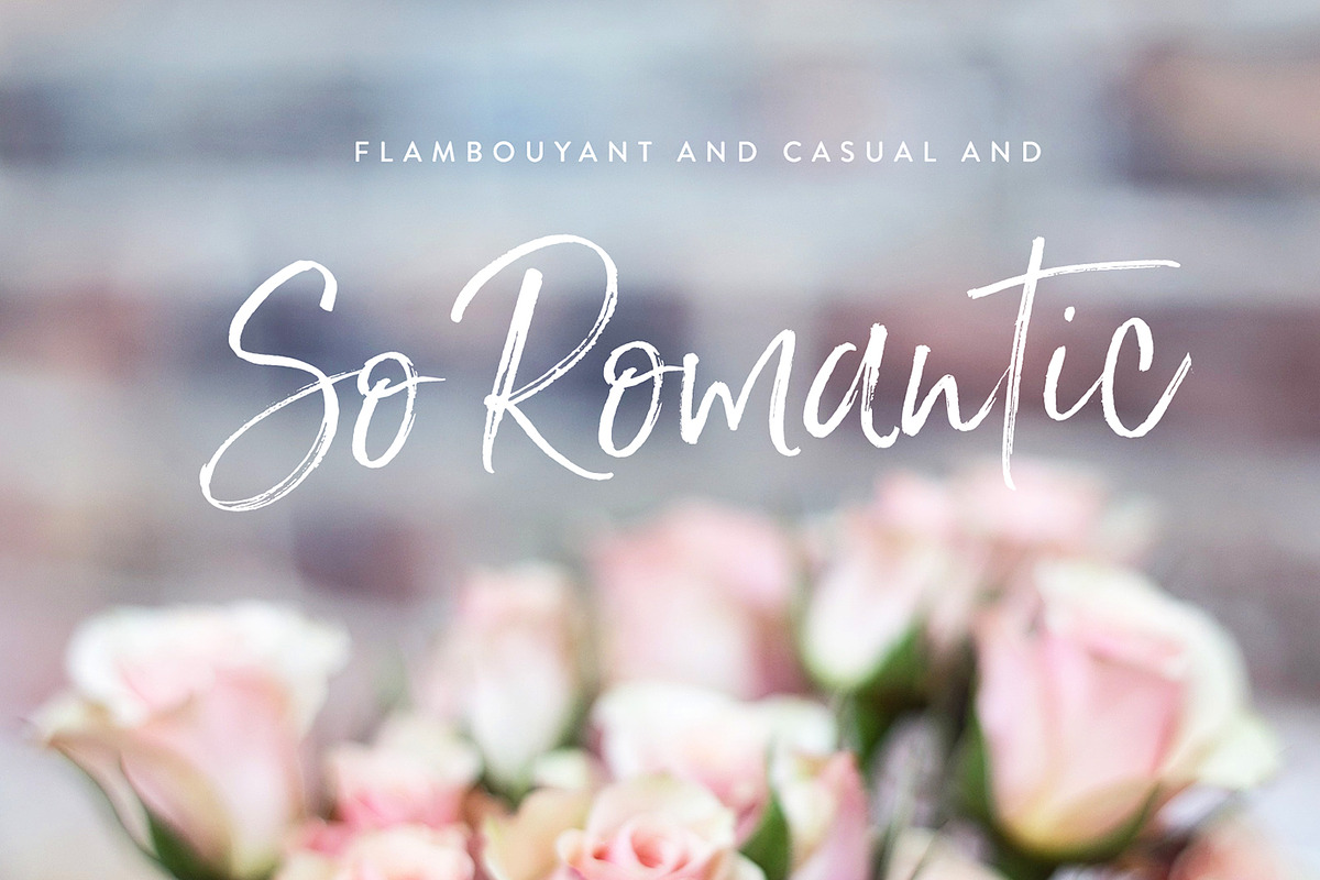 Saturday Script Brush Font, a Script Font by Nicky Laatz (Photo 12 of 15)