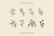 Sketchy Pencil Drawing Wildflowers, an Illustration by elpple (Thumbnail 2 of 7)