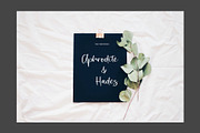 Rossitta Modern Script Font, a Script Font by Giant Design (Thumbnail 6 of 10)
