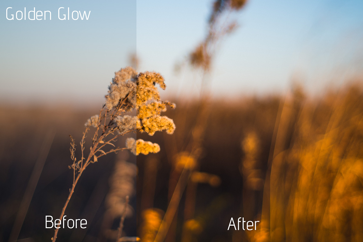 15 Landscape Presets, a Preset Add-On by cw_kennedy (Photo 6 of 6)